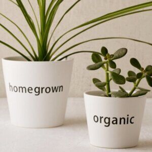 Urban Outfitters planter set